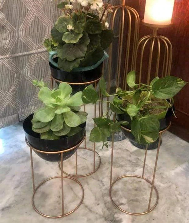 Planters collection