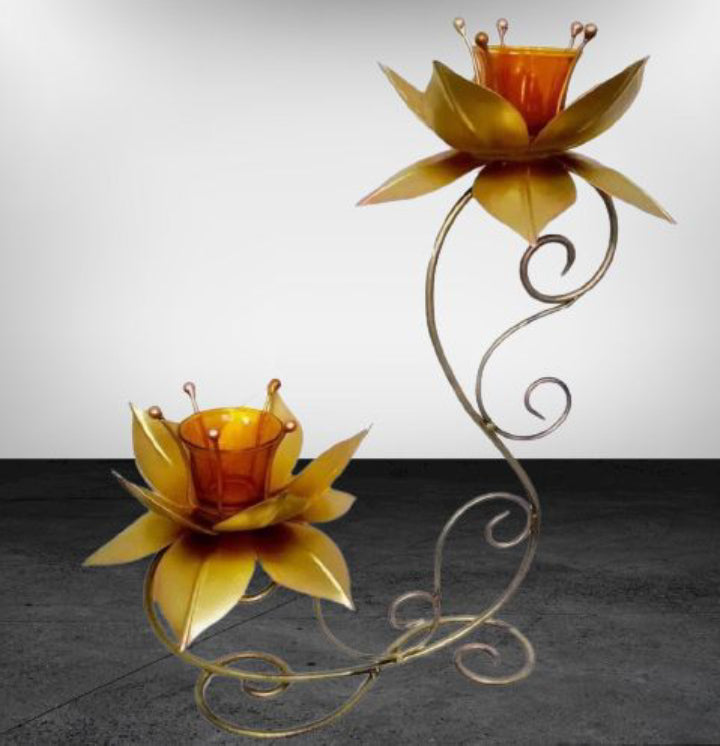 Two Lotus Tlight 16*6*19