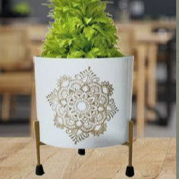 Planter With Golden Color Stand 12*12*18*4