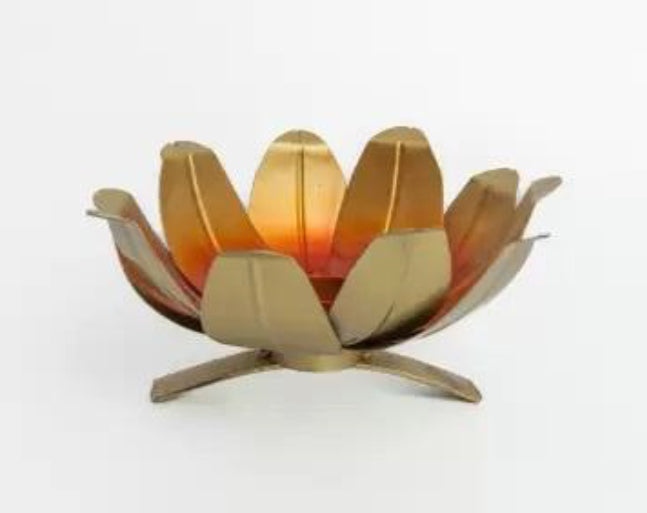 Vinca Tlight 6*3*7