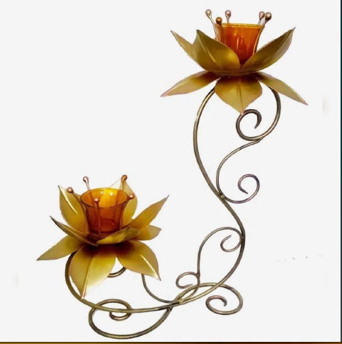 Two Lotus Tlight 16*6*19
