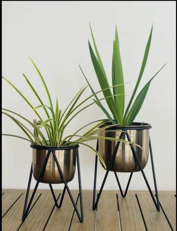 Electroplated Pot Set 9*7*6-V Home Decor