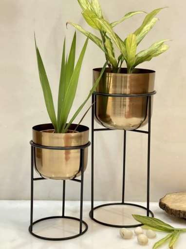 Electroplated Pot Set 19*12-V Home Decor