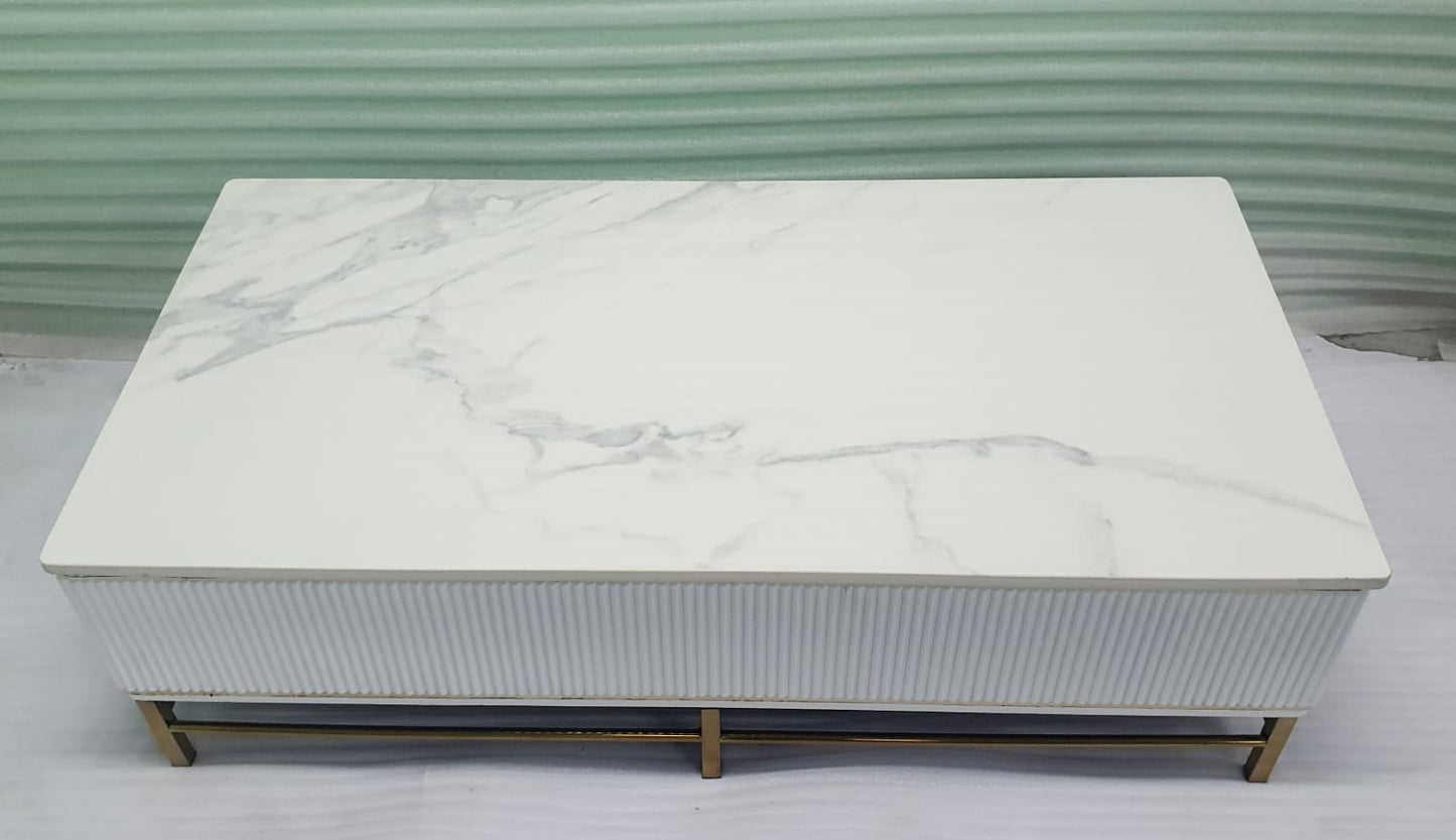 Stainless Steel Centre Table 15*48*24-V Home Decor