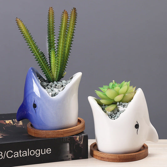 🎁 Succulent Pot Creative Cartoon Ceramic Flower Pots European-style Simple Indoor Desktop Pots For Plants Office Decor Planters (100% off)