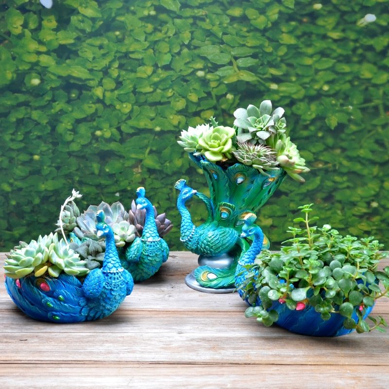 🎁 Resin medium planted succulent peacock pot (100% off)