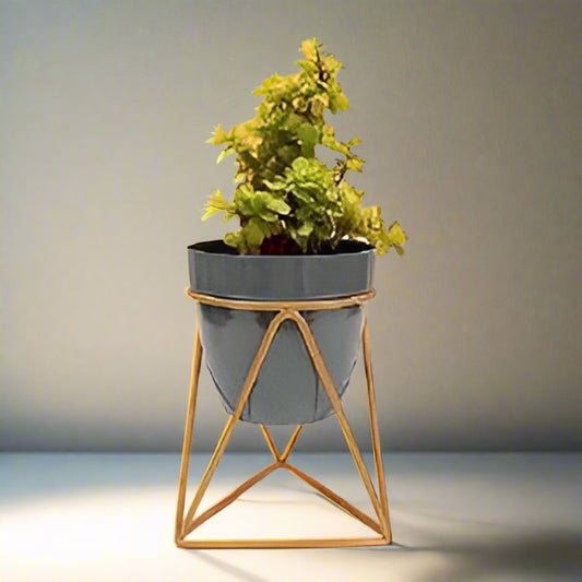 Triangular Planter With Golden Color Stand 12*12*18*2