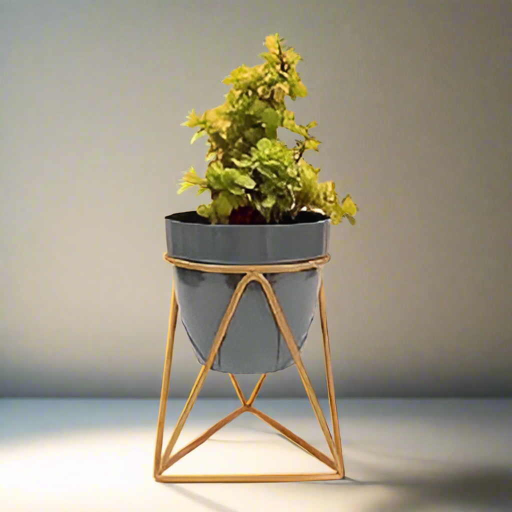 Triangular Planter with golden color stand 12*12*18*2