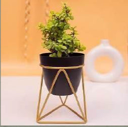 Triangular Planter With Golden Color Stand 12*12*18