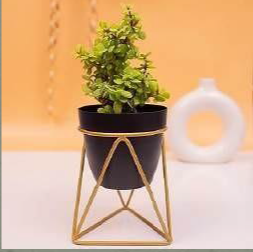 Triangular Planter with golden color stand 12*12*18