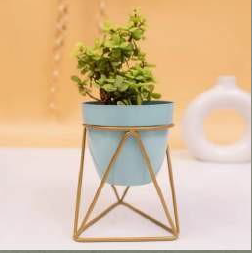 Triangular Planter with golden color stand 12*12*18*3