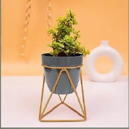 Triangular Planter with golden color stand 12*12*18*2