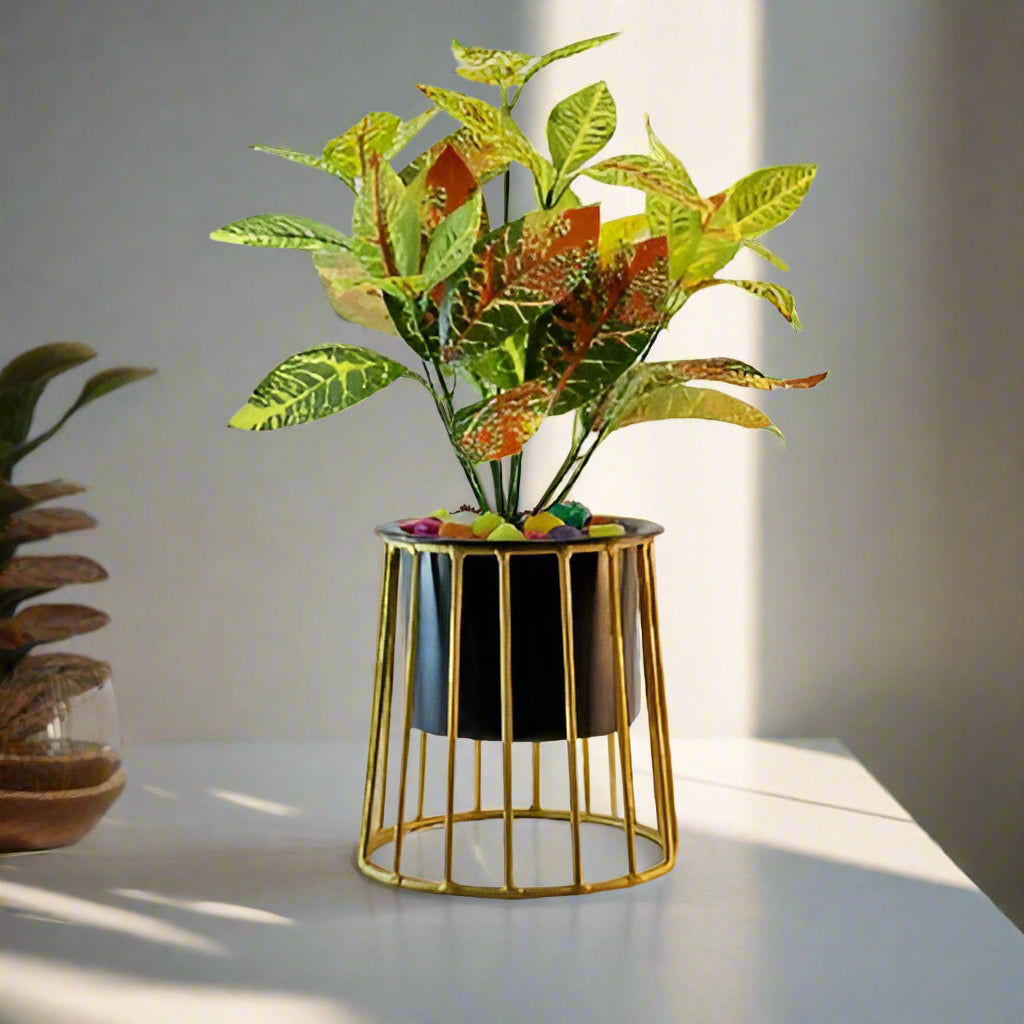 Cylinder Planter With Golden Color Stand 10*10*13*1