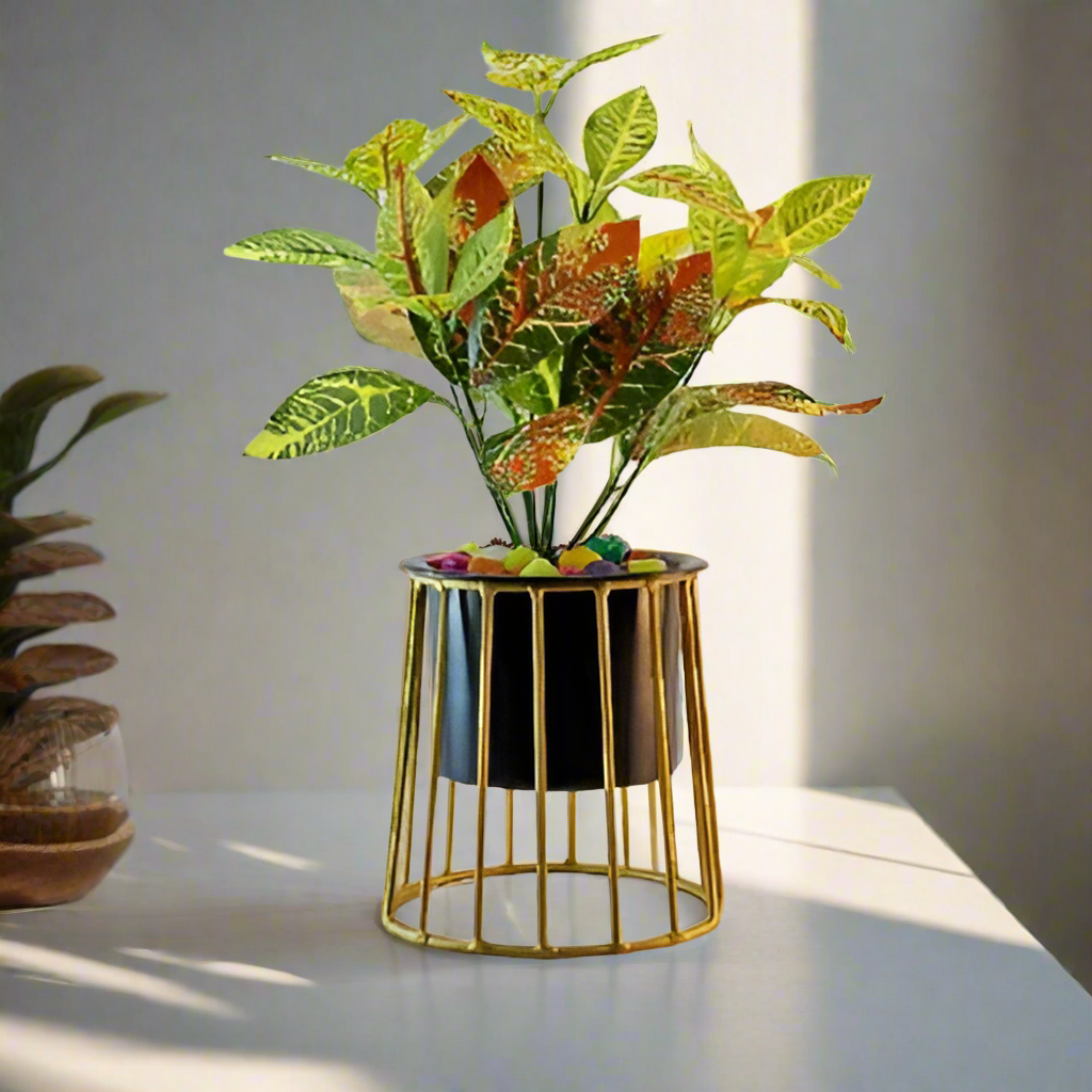 Cylinder Planter with golden color stand 10*10*13*1