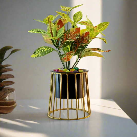 Cylinder Planter with golden color stand 10*10*13*1