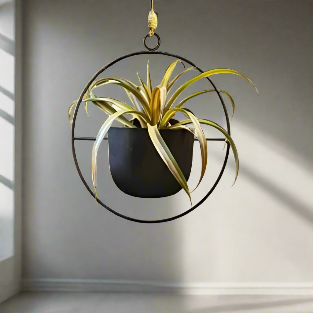 Black Metal Circular Hanging Planter 37*42