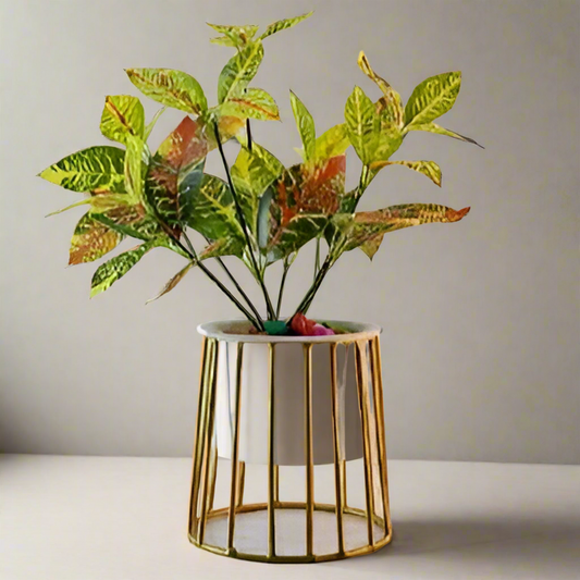 Cylinder Planter with golden color stand 10*10*13