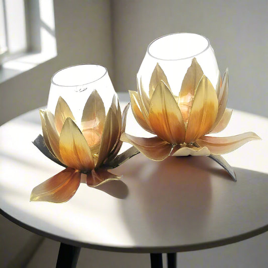 Vinca Tlight 12*3*7