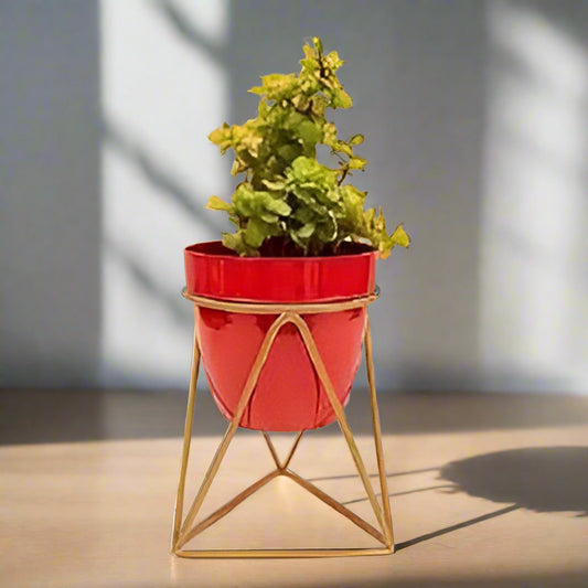 Triangular Planter With Golden Color Stand 12*12*18*4