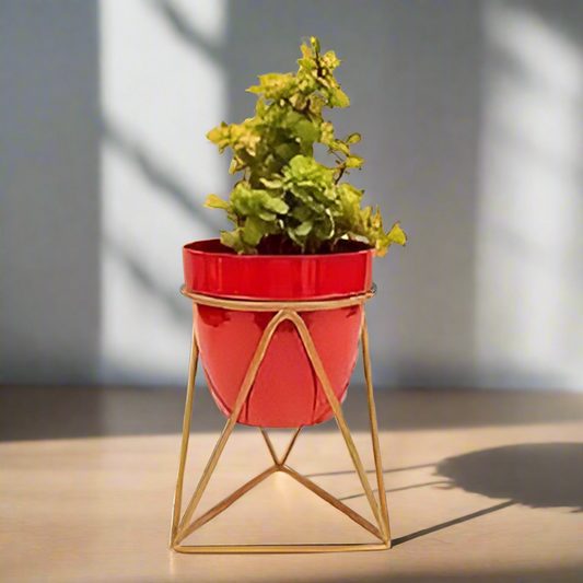 Triangular Planter with golden color stand 12*12*18*4