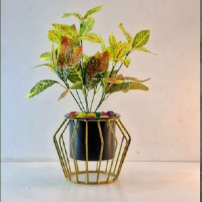 Diamond shape planter with golden color stand 10*10*12*1