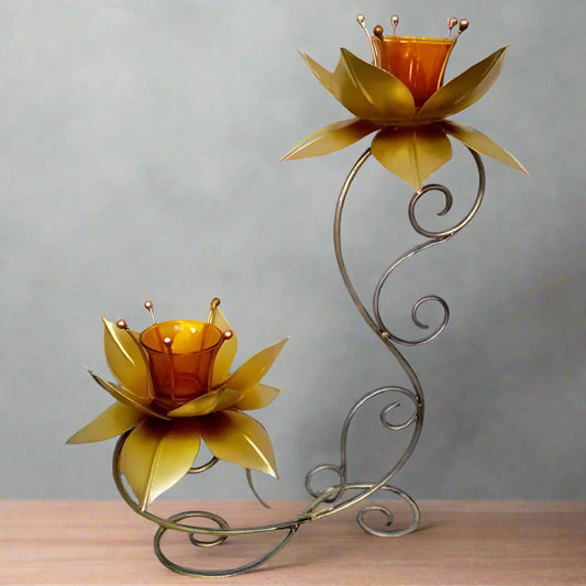 Two Lotus Tlight 16*6*19