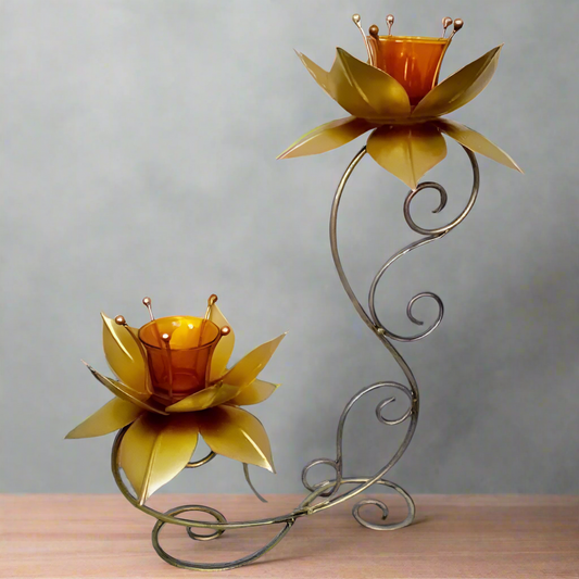 Two lotus tlight 16*6*19