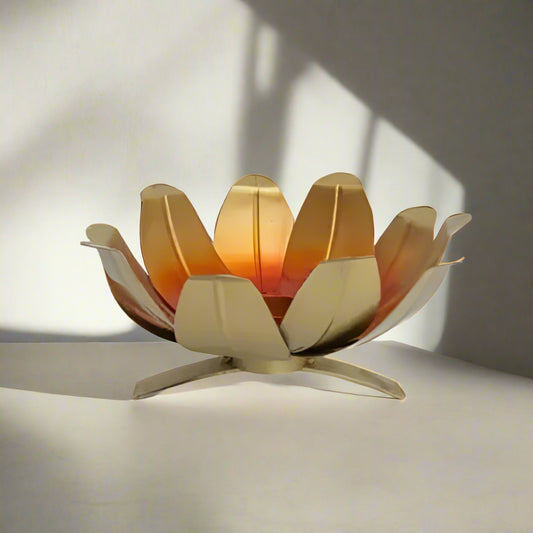 Vinca Tlight 6*3*7