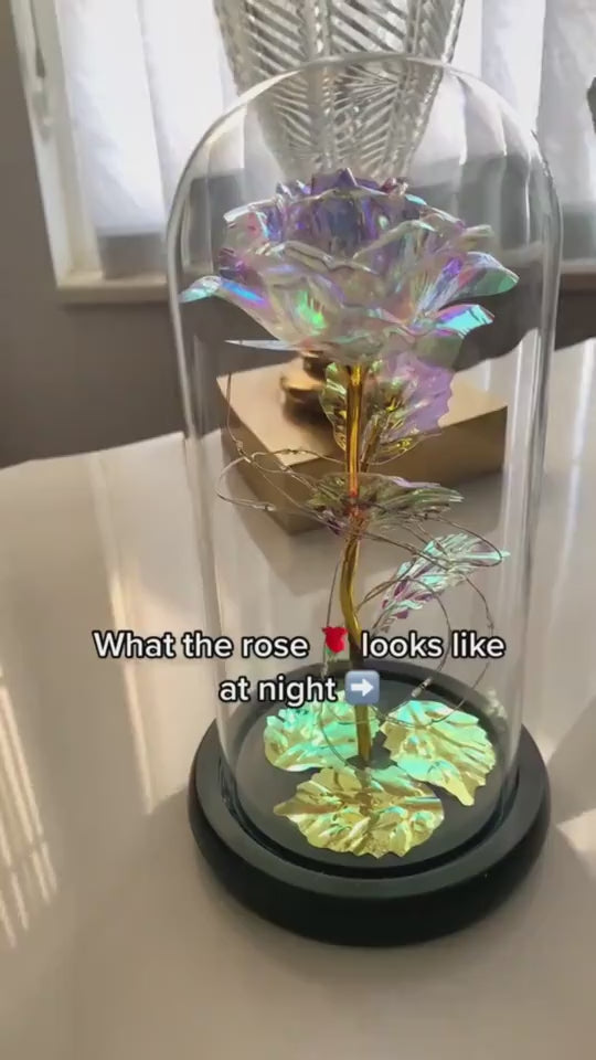 1.mp4