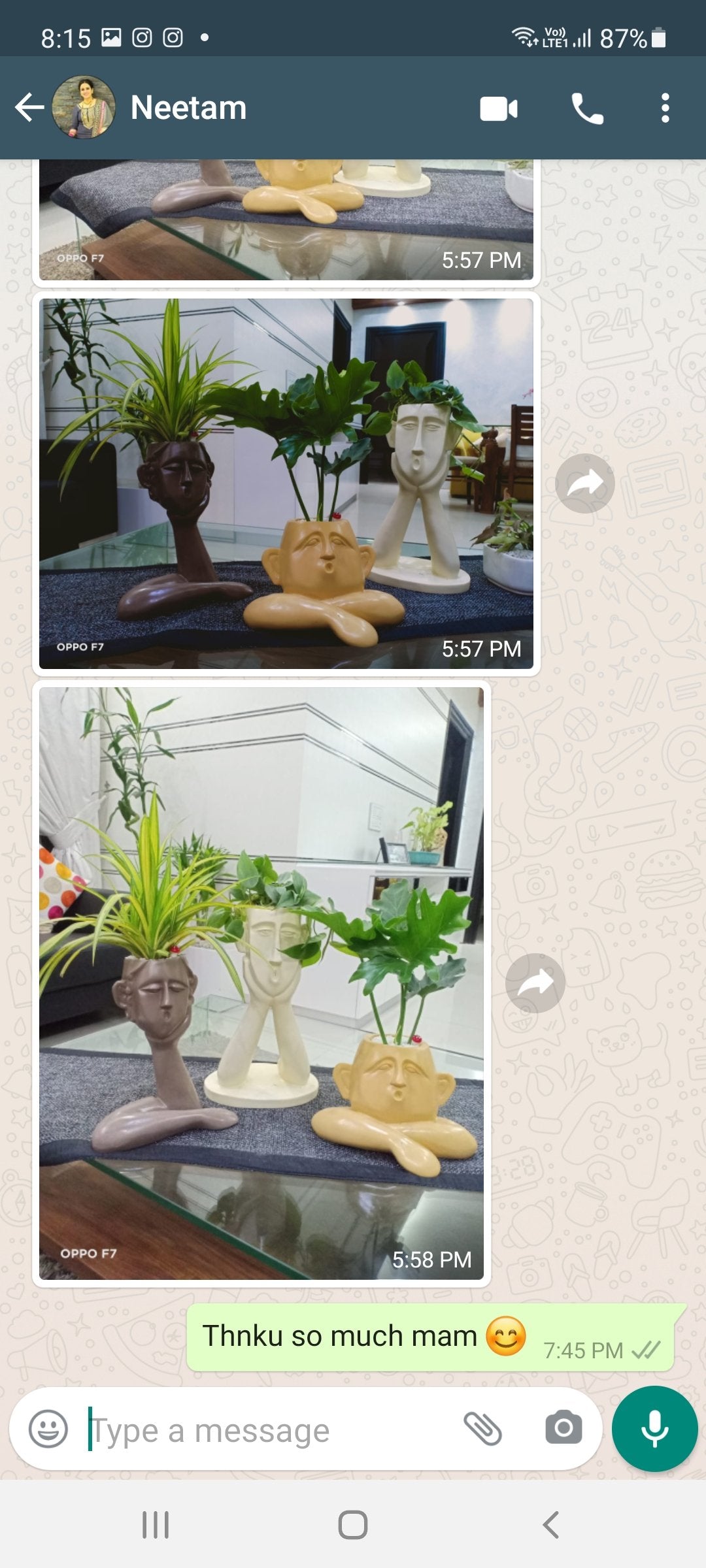 Polyresin Face Planter 14*11*7